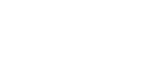 올빼미