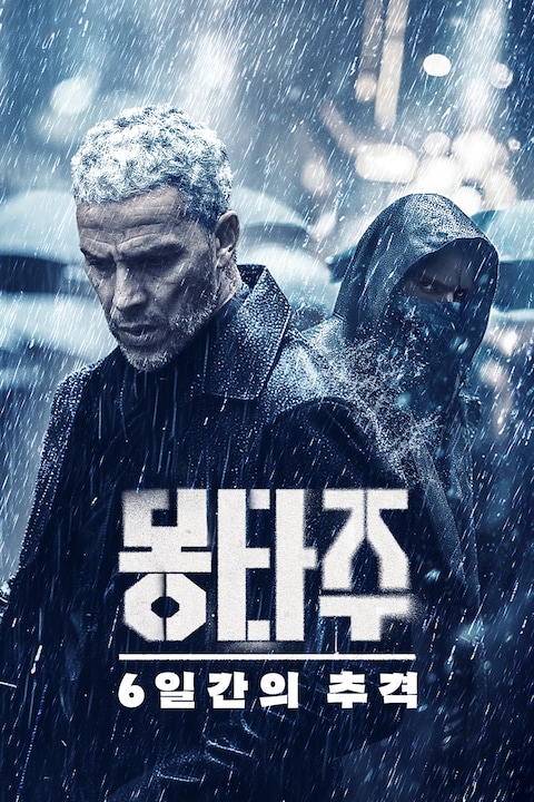몽타주: 6일간의 추격