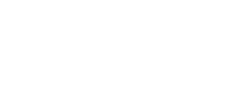 위험한 나의 형제
