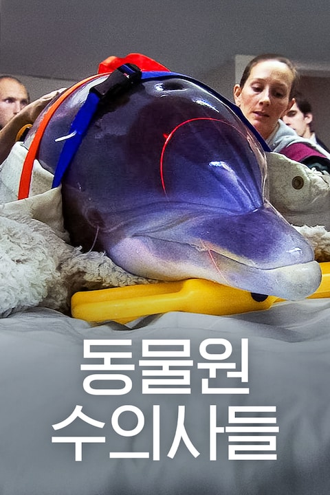 동물원 수의사들
