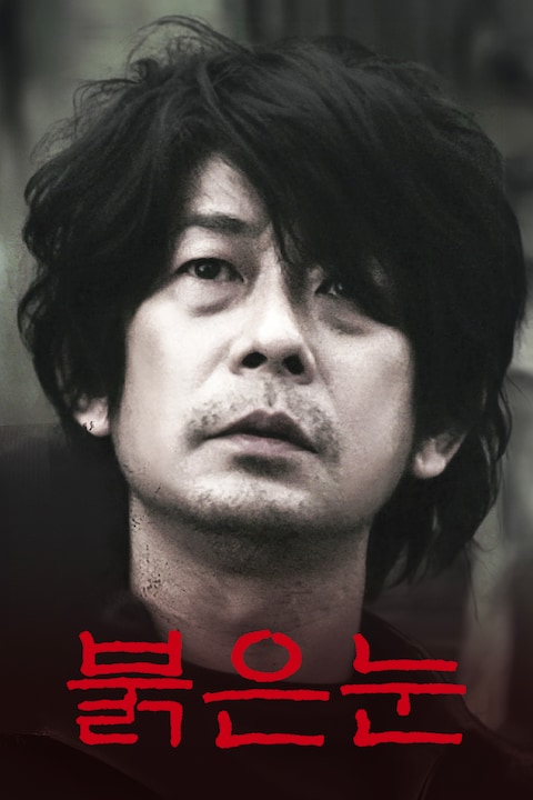 붉은 눈