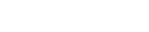 투어리스트