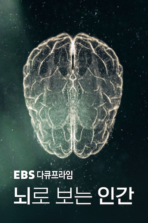 뇌로 보는 인간 | 다큐프라임