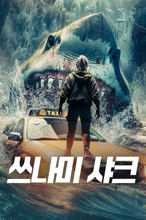 쓰나미 샤크