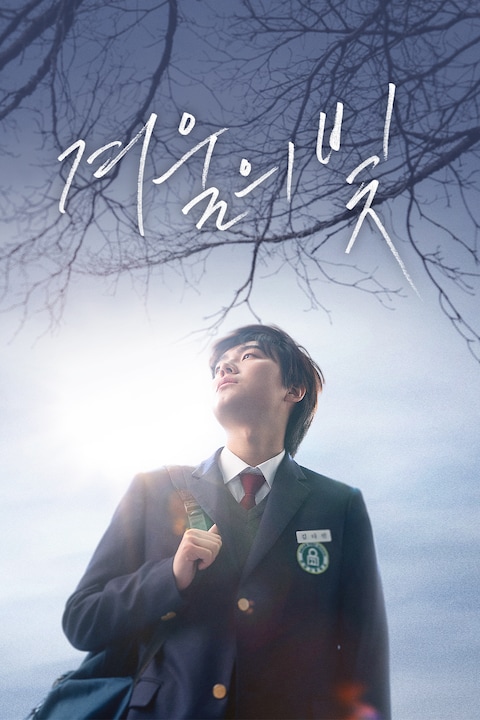 겨울의 빛