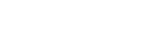 겨울의 빛