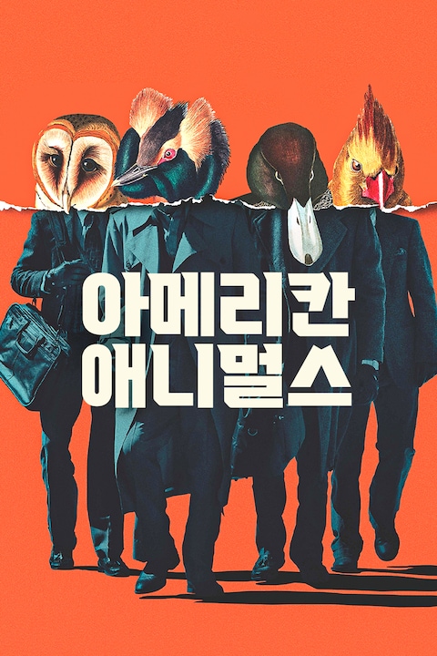 아메리칸 애니멀스