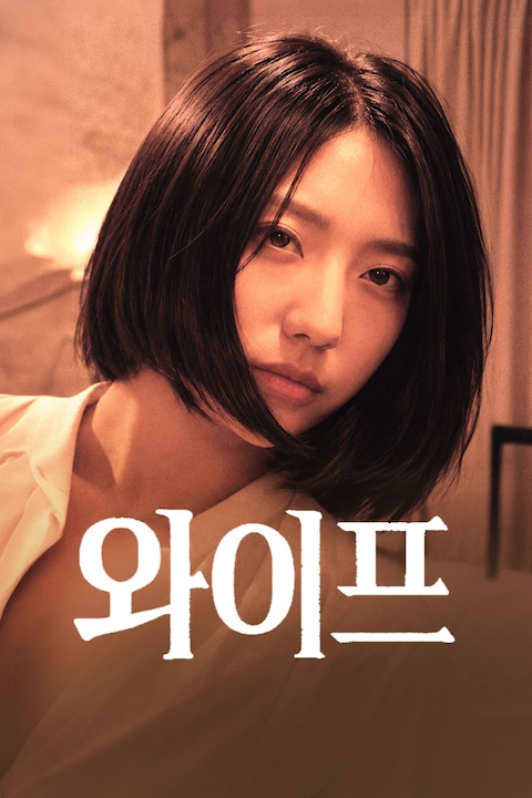 와이프