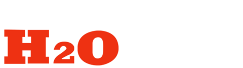 장국영의 H2O