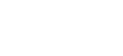 폭설