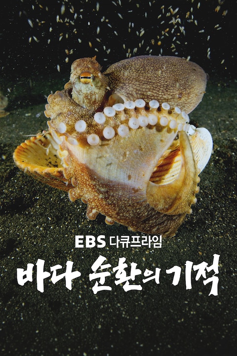 바다 순환의 기적 | 다큐프라임