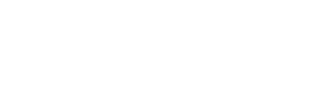 암스테르담 바이스