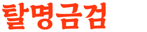 탈명금검