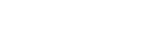 홍콩 폴리스