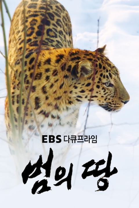 범의 땅 | 다큐프라임