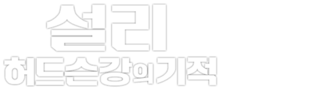 설리: 허드슨 강의 기적