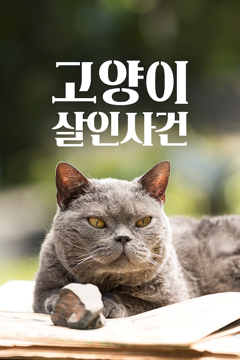 고양이 살인사건