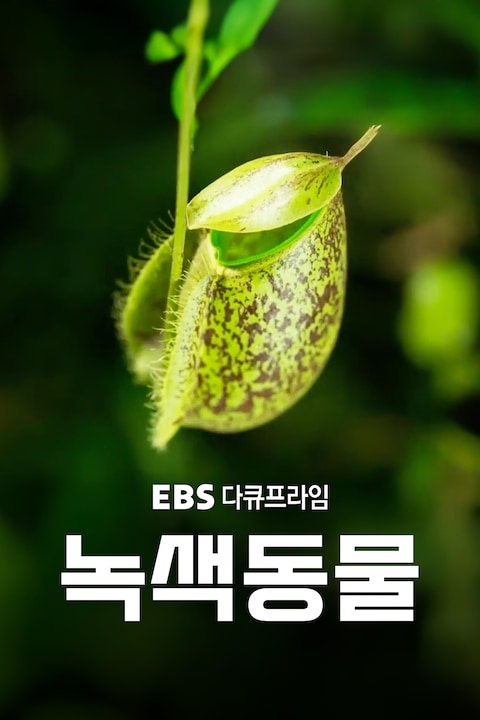 녹색동물 | 다큐프라임