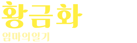 황금화: 엄마의 일기