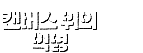 캔버스 위의 혁명