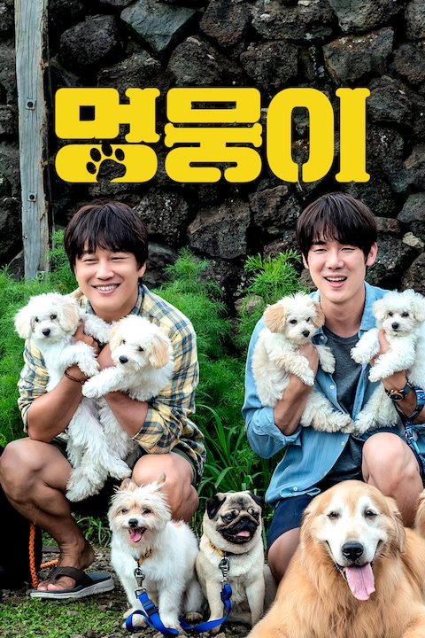 멍뭉이
