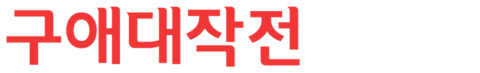 구애대작전
