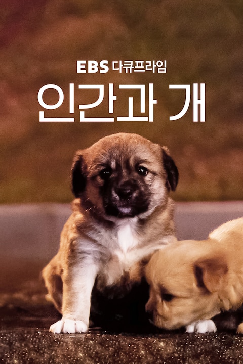 인간과 개 | 다큐프라임