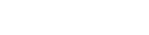 새벽의 모든