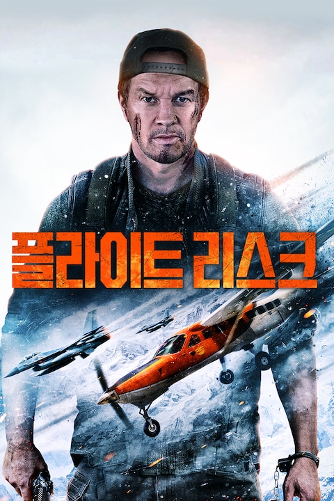 플라이트 리스크
