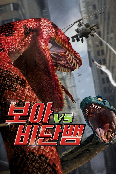 보아 VS 비단뱀