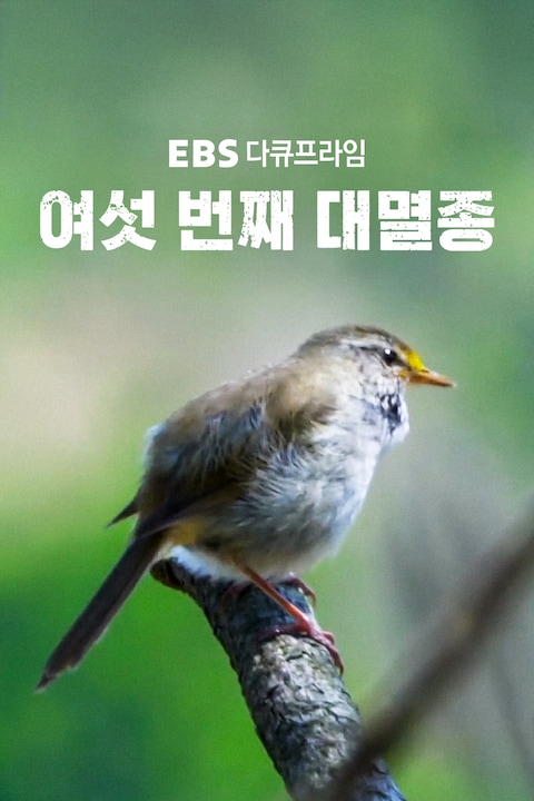여섯 번째 대멸종 | EBS 다큐프라임