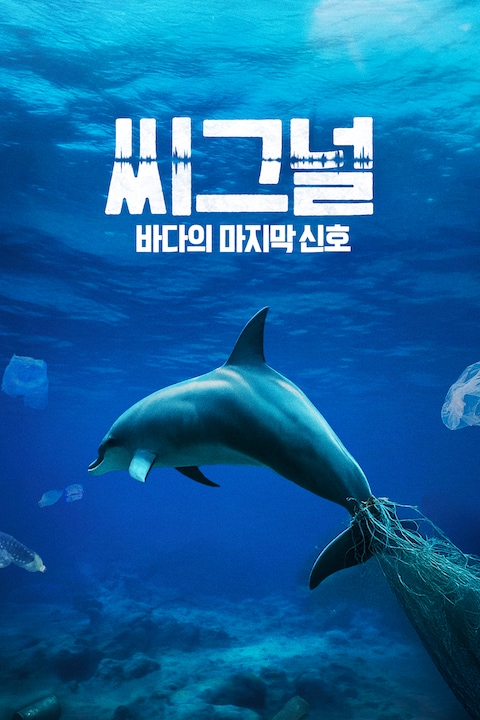 씨그널: 바다의 마지막 신호