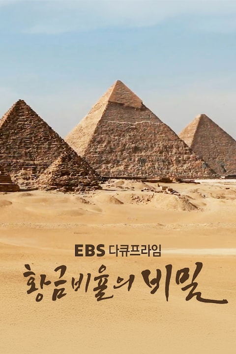 황금비율의 비밀 | 다큐프라임