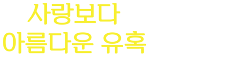 사랑보다 아름다운 유혹 2