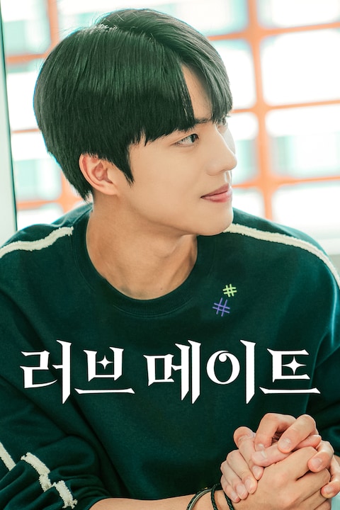 러브메이트