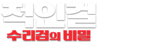 적인걸: 수리검의 비밀