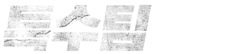 특수팀