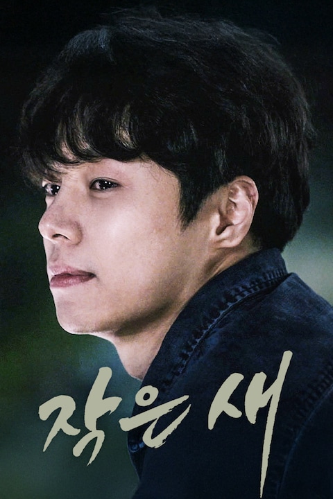 작은새