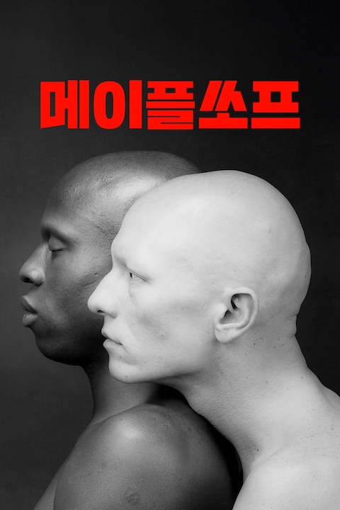 메이플쏘프