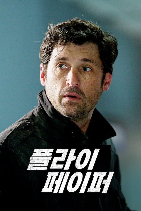 플라이페이퍼
