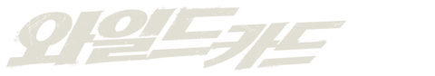 와일드 카드