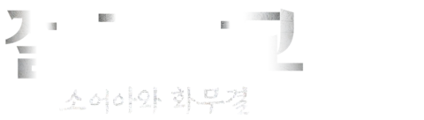 절대쌍교: 소어아와 화무결