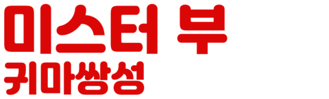 미스터 부: 귀마쌍성