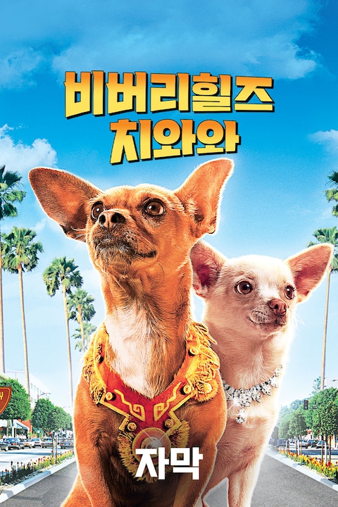 비버리힐즈 치와와 (자막)