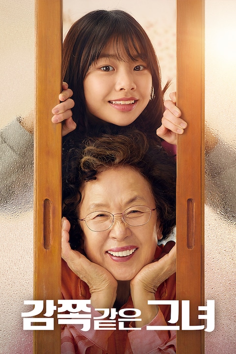 감쪽같은 그녀