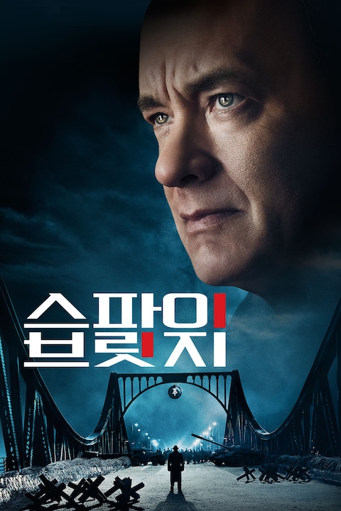 스파이 브릿지