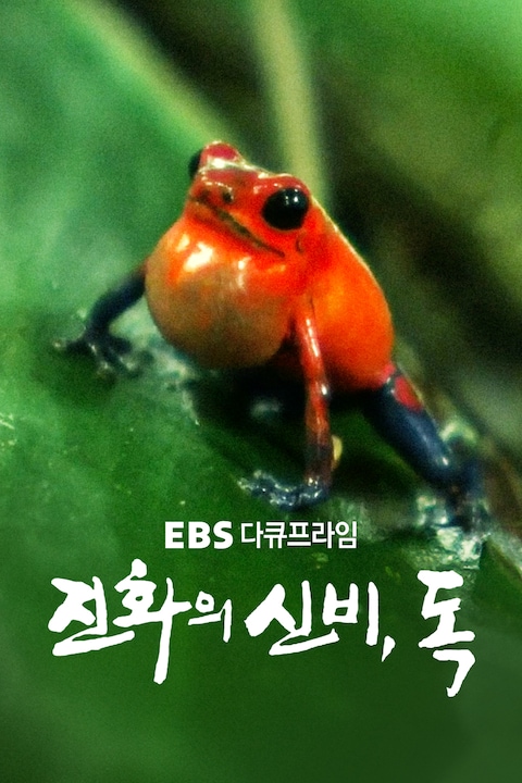진화의 신비, 독(毒) | 다큐프라임