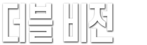 더블 비전