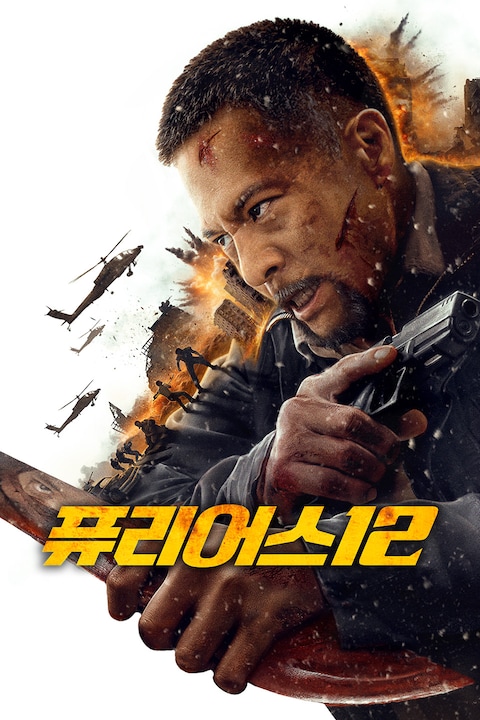 퓨리어스 12