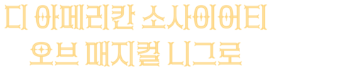 디 아메리칸 소사이어티 오브 매지컬 니그로